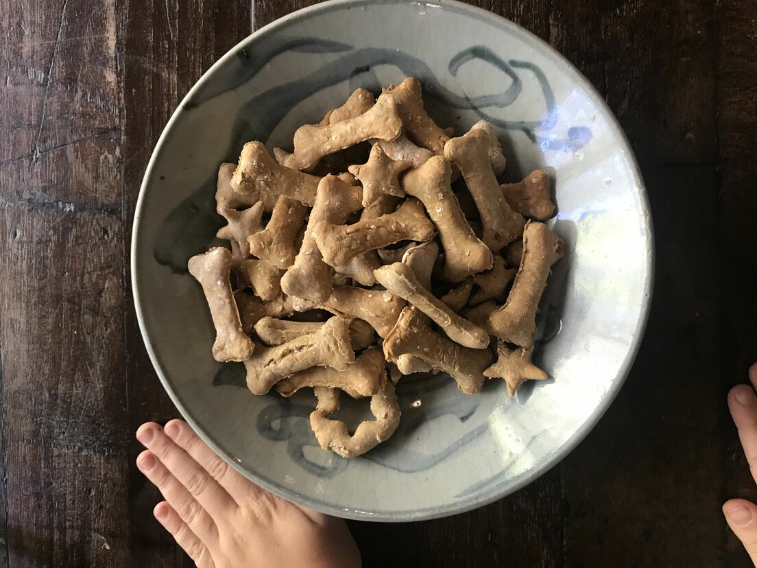 How to A Maker's Guide Design and Make Your Own Dog Biscuits
