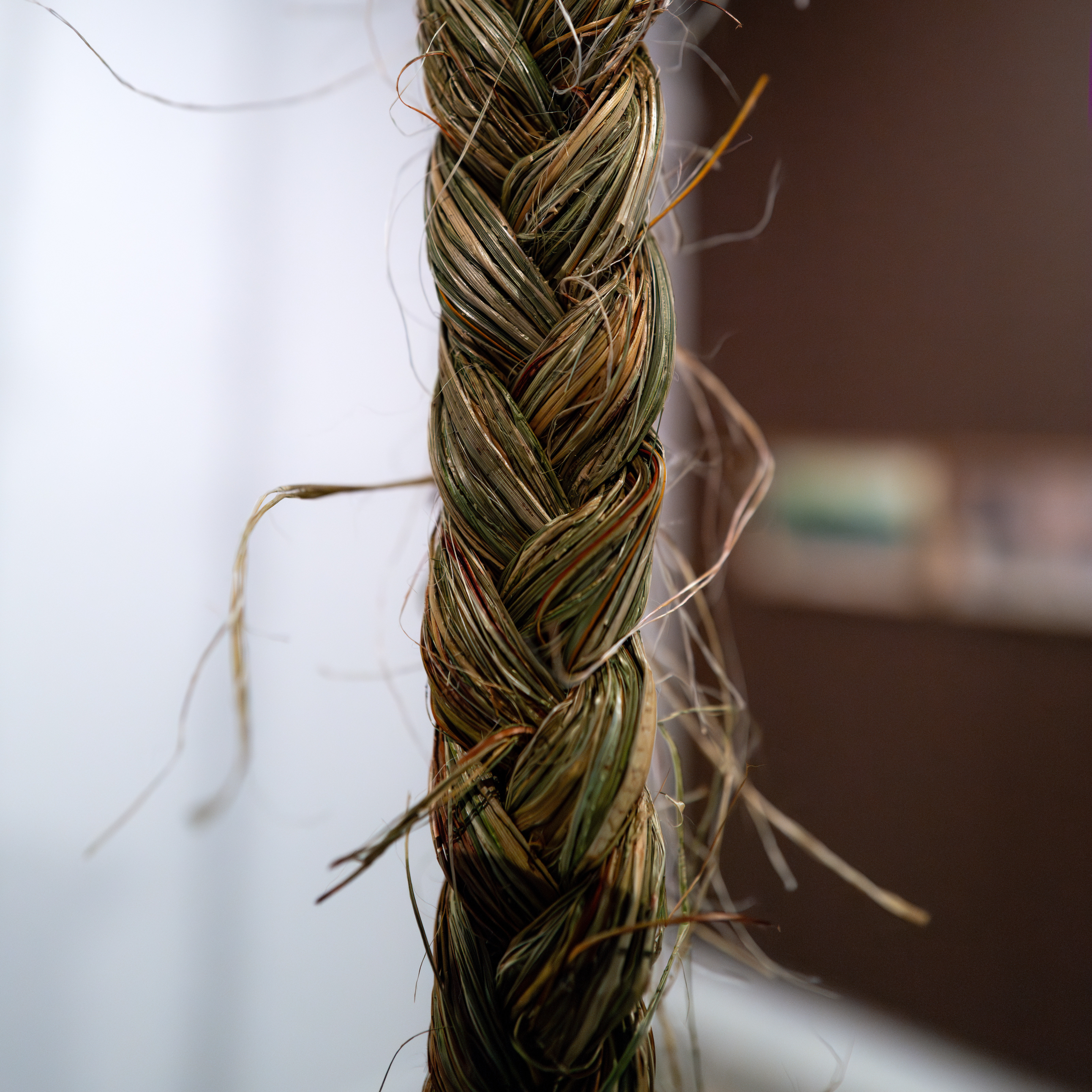 Panel Kōrero on Taura (Mussel Ropes) — Objectspace